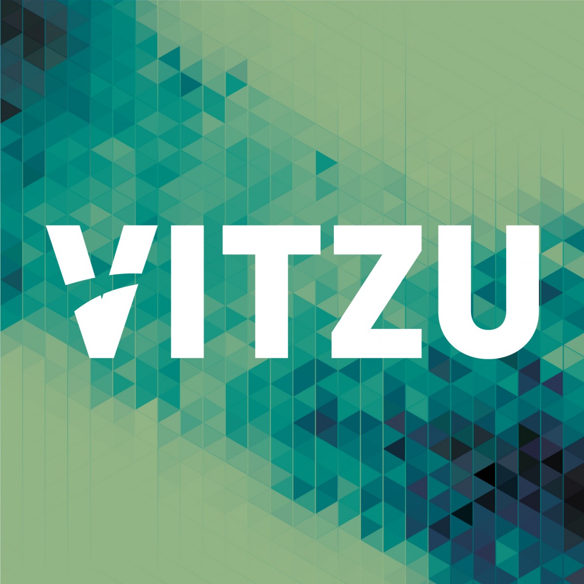 Vitzu